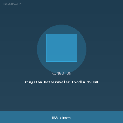 Kingston DataTraveler Exodia 128GB